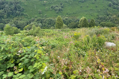 Development Land for sale in Llanhilleth