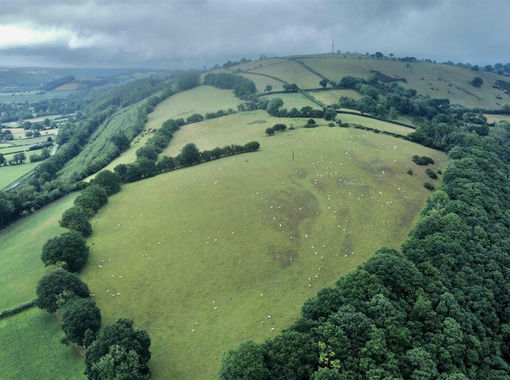 30 acres of Farmland for sale in Lampeter