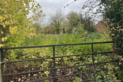 Land for sale in Ludlow