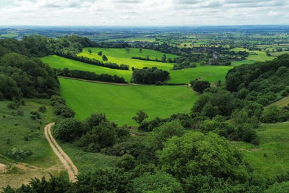 120.8 acres of Agricultural Land for auction in Lamyatt