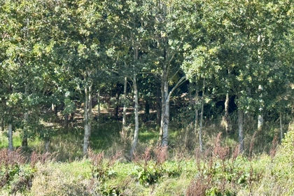 1.9 acres of Recreational Land for sale in Longhope