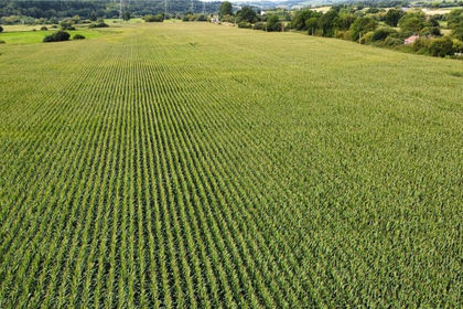 46 acres of Farmland for sale in Rewe