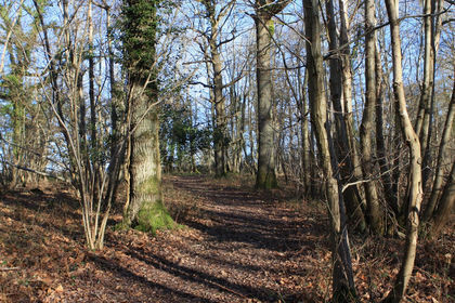4.8 acres of Woodland for sale in Penshurst