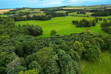 108.5 acres of Farmland for sale in Gordon and Buchan