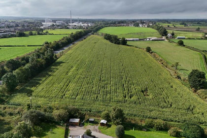 12.1 acres of Agricultural Land for sale in Wigton