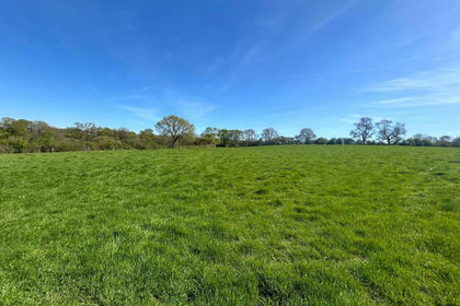 36.9 acres of Grazing Land for sale in Broadwindsor