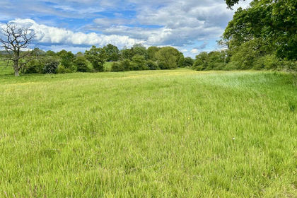 2.7 acres of Grazing Land for sale in Dodcott cum Wilkesley