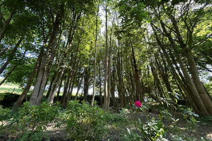 Undeveloped Land for sale in Combe St Nicholas
