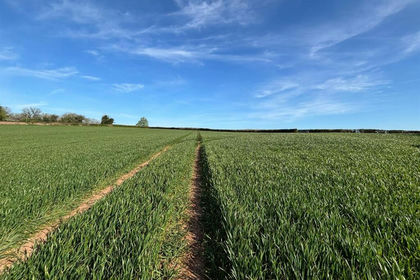 15.5 acres of Arable Land for sale in Llanwarne