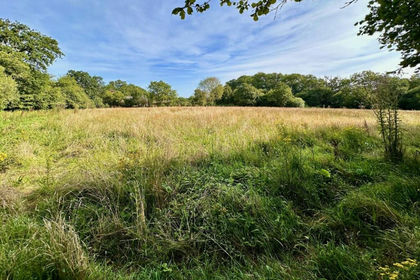 1.5 acres of Land for sale in Colehill