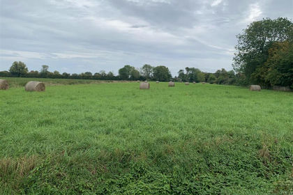 2.6 acres of For sale in Great Ellingham