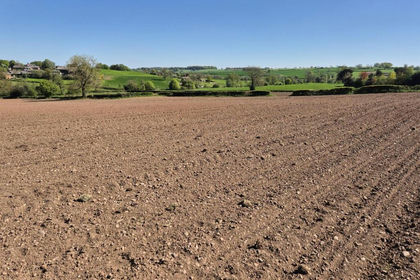 53.6 acres of Farmland for sale in Weston Underwood