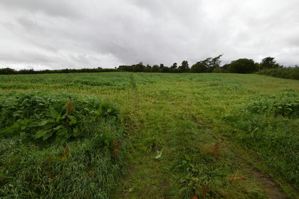 Agricultural Land for sale in Aberdeenshire North and Moray East