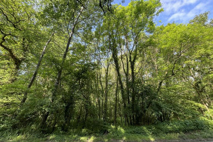 Recreational Land for sale in Holnest