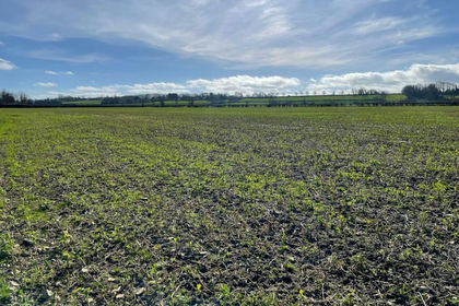 14.3 acres of Agricultural Land for sale in Edington