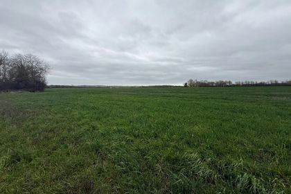 1 acre of Land for sale in Margaretting