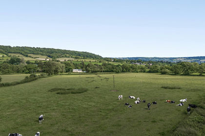 14.7 acres of Pasture for sale in Honiton