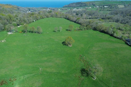 29.4 acres of Farmland for sale in Llanarth
