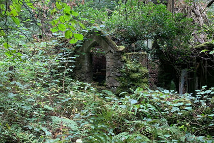 1.8 acres of Woodland for sale in Crucorney
