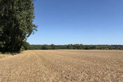 48.3 acres of Arable Land for sale in Costessey