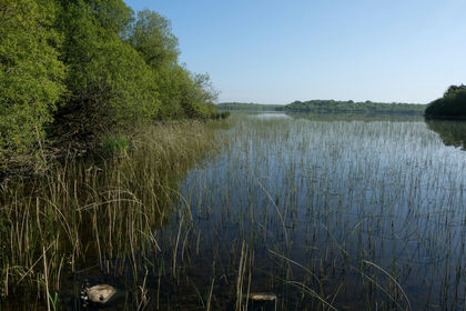 3.5 acres of Woodland for sale in