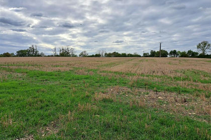 10.6 acres of For sale in Birdingbury