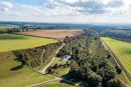 69.1 acres of Hunting Land for sale in Stape