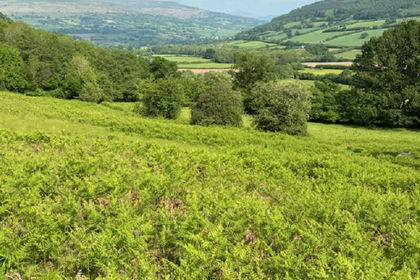 3.1 acres of Agricultural Land for sale in Llanfihangel Cwmdu with Bwlch and Cathedine