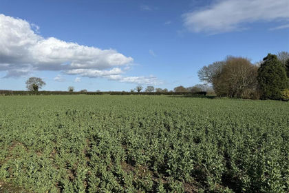 2.7 acres of Agricultural Land for sale in Burgh and Tuttington