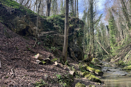 4.8 acres of Woodland for sale in