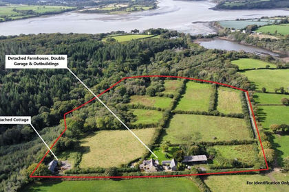 15 acres of Agricultural Land for sale in Martletwy