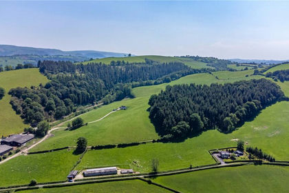 37.9 acres of Woodland for sale in Llandinam
