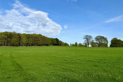 61 acres of Agricultural Land for sale in Read