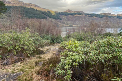 7 acres of Development Land for sale in Argyll, Bute and South Lochaber