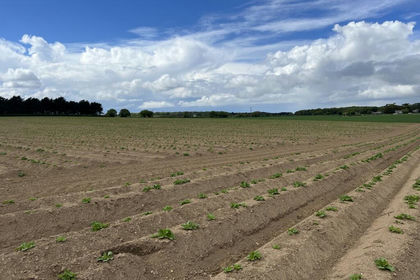 18.1 acres of Farmland for sale in Aylmerton