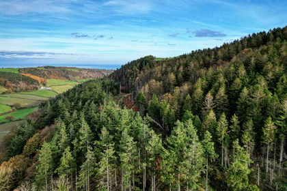 67.5 acres of Agricultural Land for sale in Betws yn Rhos