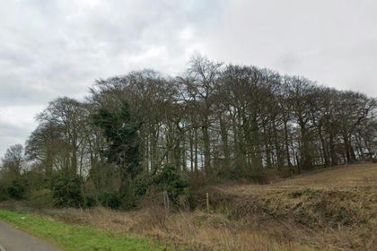 5.3 acres of Woodland for sale in Bawtry