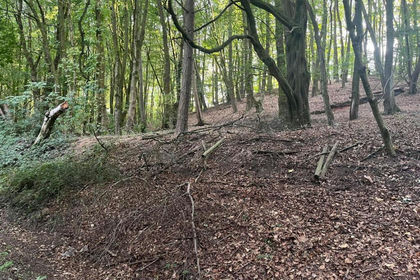 5.5 acres of Woodland for sale in Caverswall