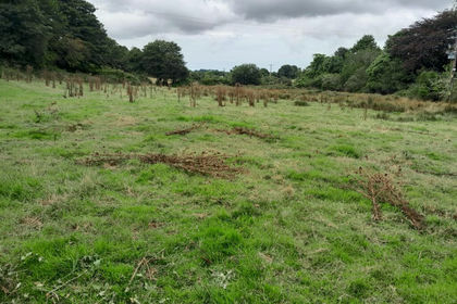 3.2 acres of Agricultural Land for sale in Breage