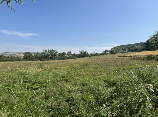 5.1 acres of Pasture for sale in Woodmancote Cheltenham