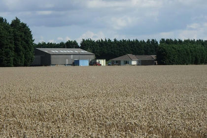 279.8 acres of Agricultural Land for sale in Wisbech St. Mary
