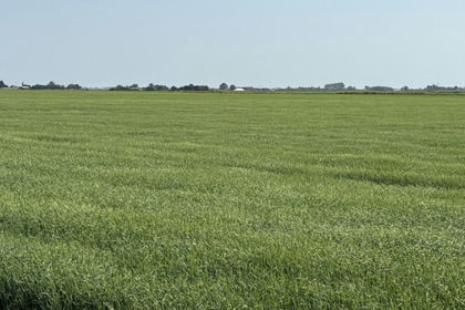 94.7 acres of Farmland for sale in March