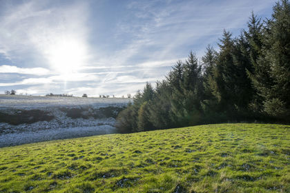 4.3 acres of Woodland for sale in