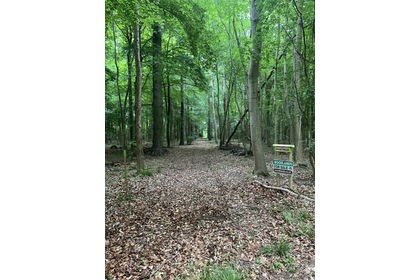 6 acres of Woodland for sale in
