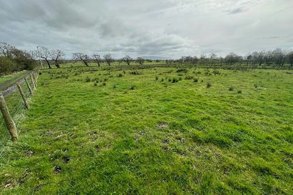 6.4 acres of Farmland for sale in Gisburn Forest