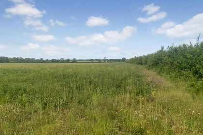 68.1 acres of Agricultural Land for sale in Bishop Norton