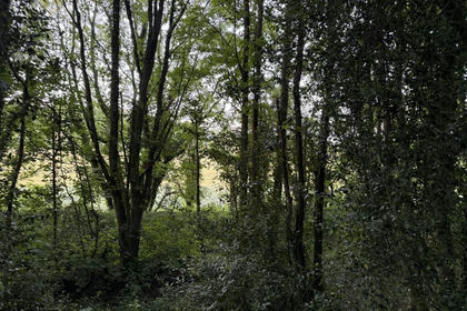1.8 acres of Undeveloped Land for sale in Salt and Enson