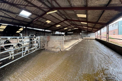 180 acres of Agricultural Land for sale in Llanddarog