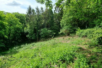 1.6 acres of Undeveloped Land for sale in Helston