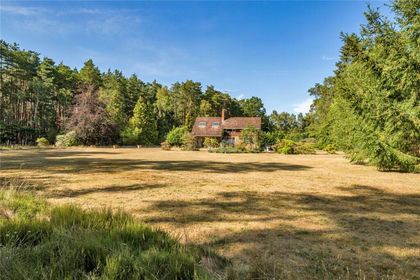 5.5 acres of House with Land for sale in Frensham